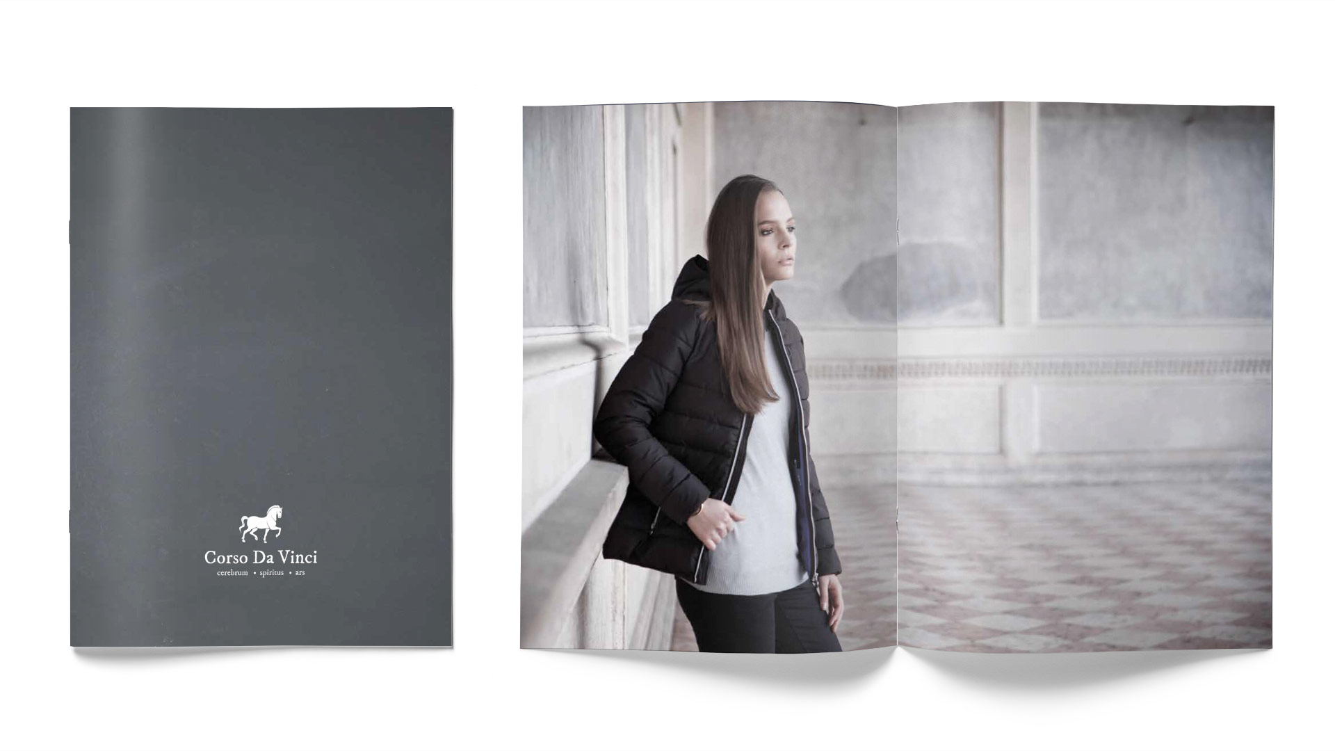 Corso_Davinci_Cat_bg_whhite_1920x1080